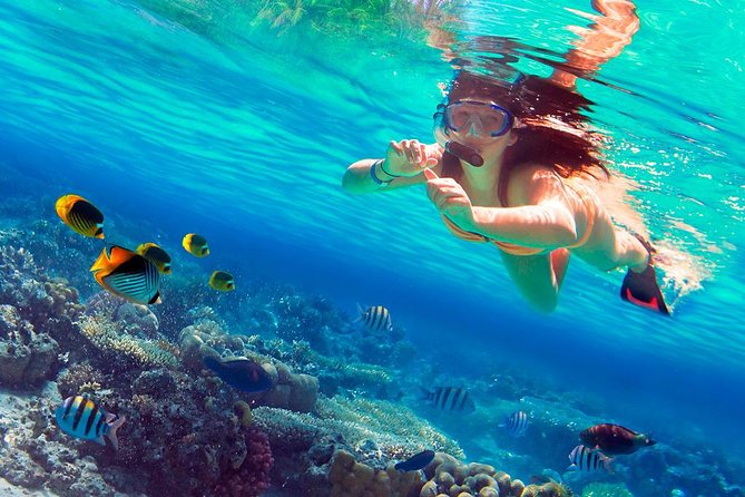 Saona Island Full-Day Tour via Speedboat - Punta Cana - Tour Highlights