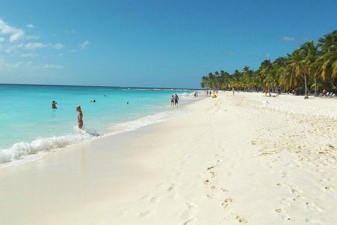 Saona Island Tour: All Buffet, Speedboat Catamaran - Good To Know