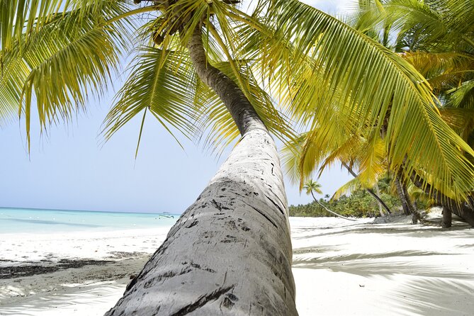 Saona Island Tour From Santo Domingo All Inclusive