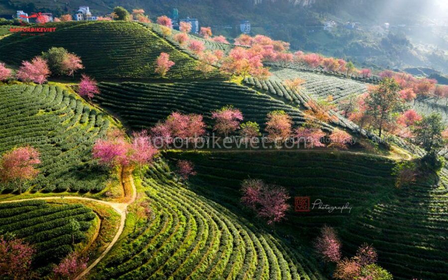 SAPA 2 Days - Classic Hikking Tour - Good To Know