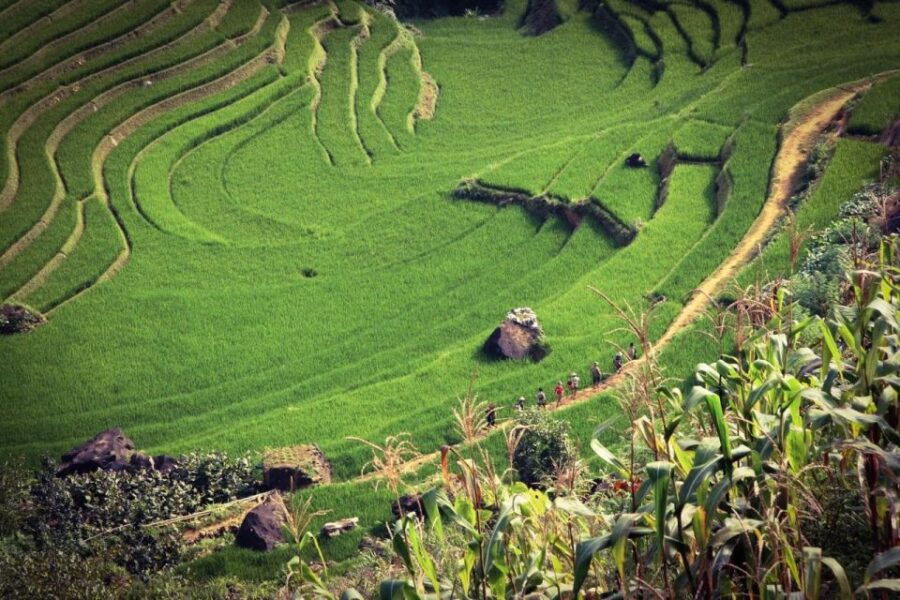 Sapa 3-Day Trekker - Good To Know