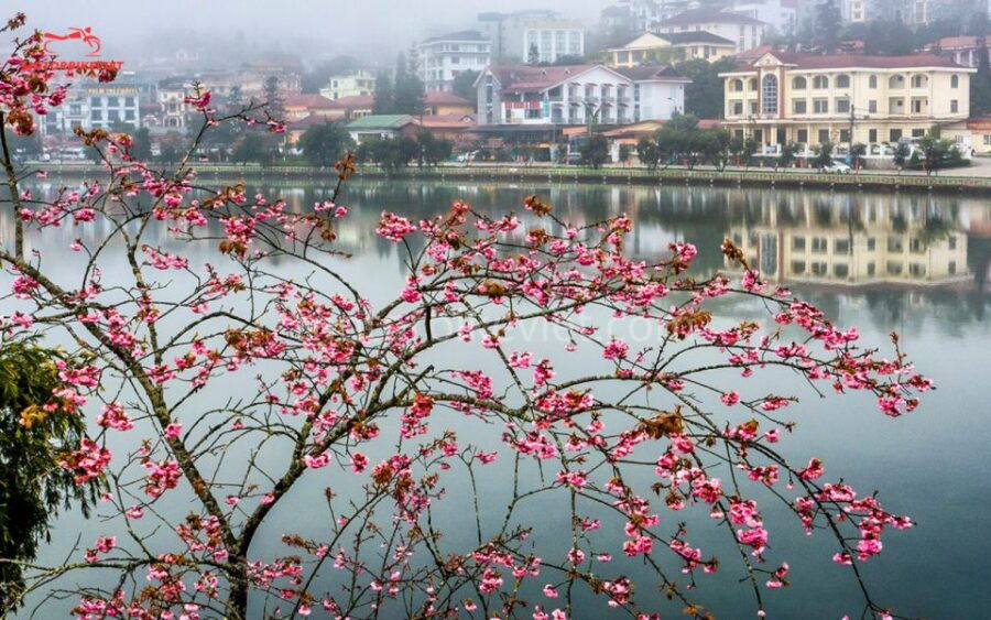 SAPA TOUR 3 DAYS 3 NIGHTS PACKAGE - DEPART IN THE EVENING - Good To Know