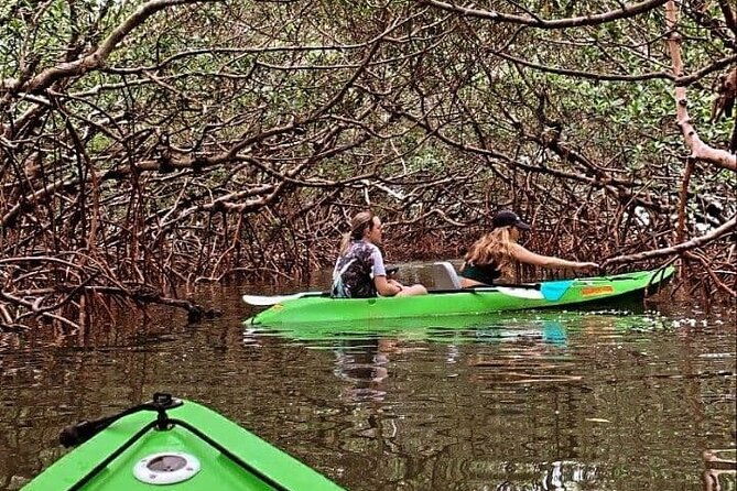 Sarasota Glass-Bottom Kayak Rental (Feb ) - Good To Know