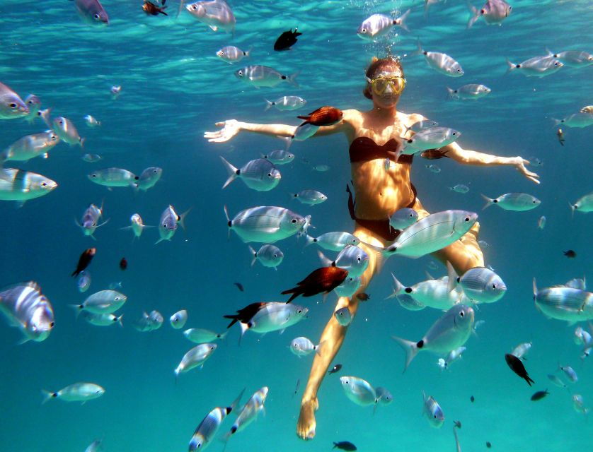 Sardinia: Morning Kayak Tour With Snorkeling and Fruit