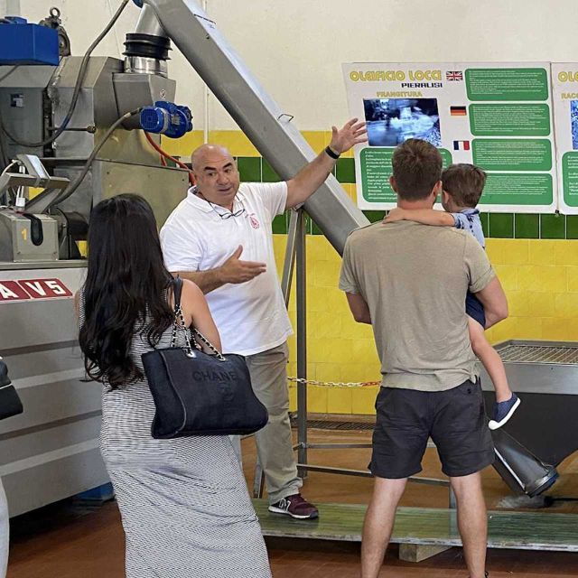 Sardinia Olive Oil Museum: Visit and Extravirgin Oil Lesson