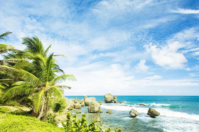 Scenic Barbados Coast To Coast Half-Day Tour
