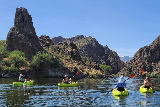 Scenic Guided Kayaking Tour on Saguaro Lake - Good To Know