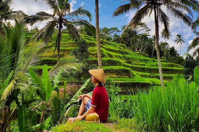 Scenic Ubud Tour and Tanah Lot Temple at Sunset-All Inclusive - Good To Know