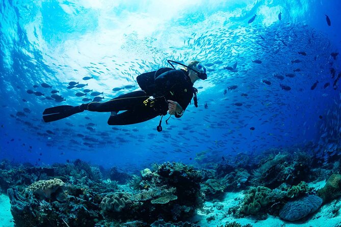 Scuba Diving and Snorkeling Trip With Lunch From Hurghada - Trip Inclusions