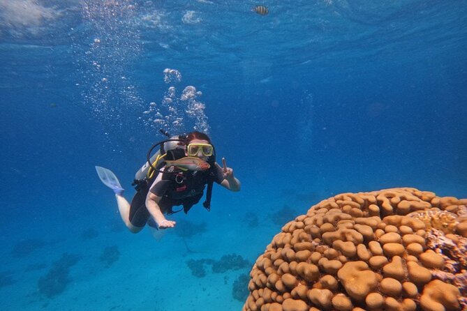 Scuba Diving Experience in Hurghada With Lunch - Good To Know