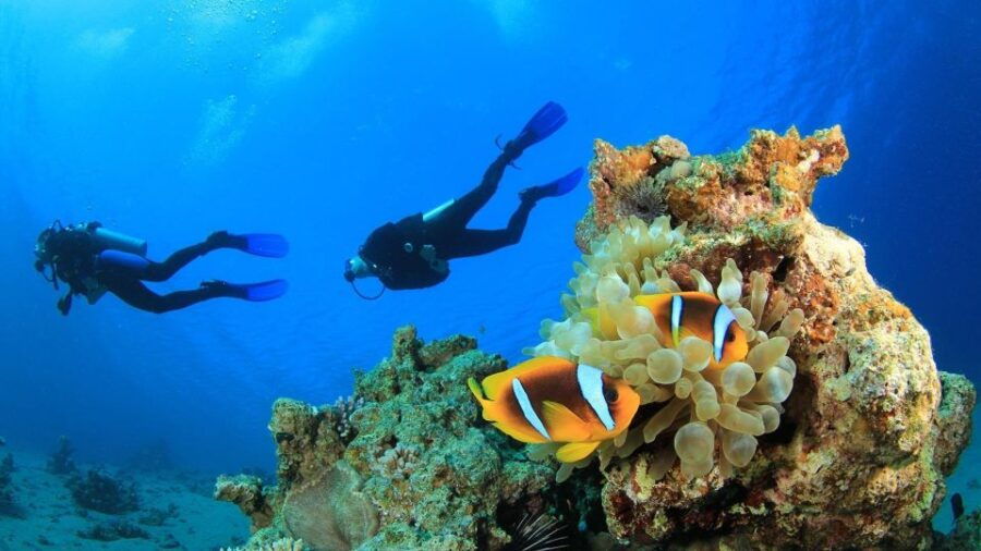 Scuba Diving: Explore the Depths of Alanya - Good To Know