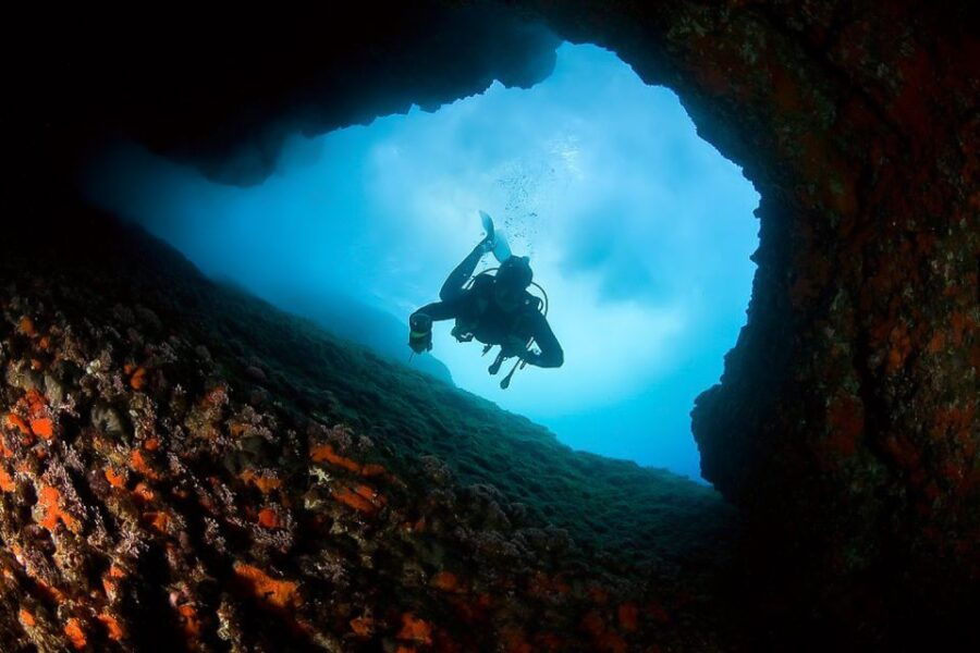 Scuba Diving in Dubrovnik: 1 Dive for Certified Divers - Good To Know