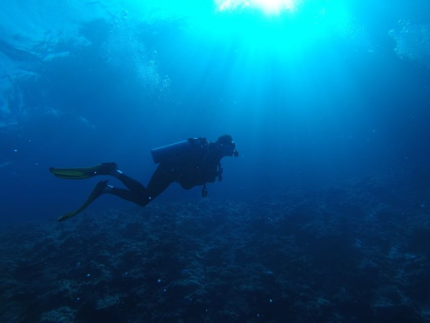 Scuba Diving in Kalpitiya