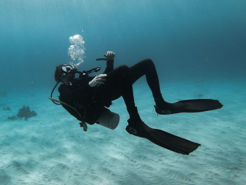 Scuba Diving in Negombo - Good To Know