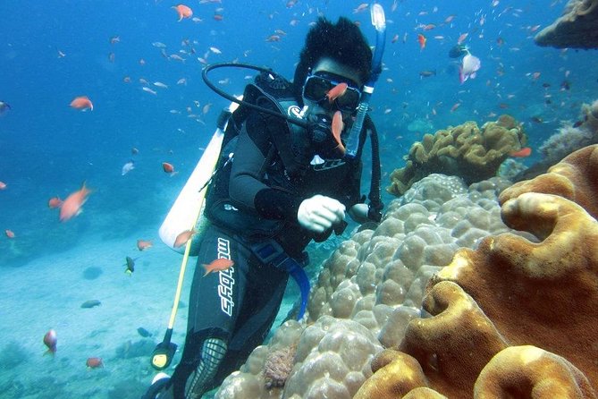 Scuba Diving - Parasailing - Banana Boat - All Inclusive With Hotel Transfer - Destination Highlights