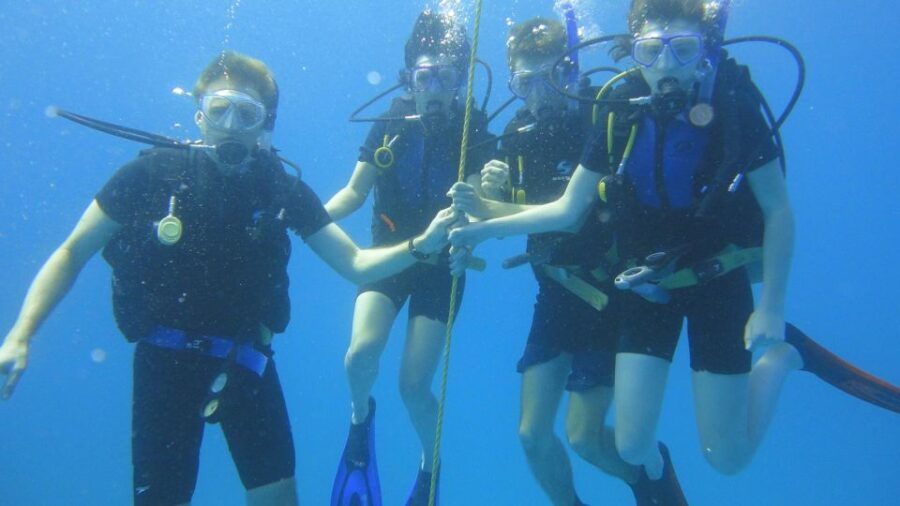 Scuba Diving Tour With Transfer From Alanya and Side