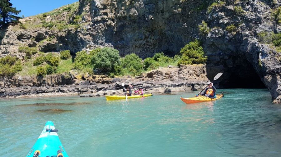 Sea Kayaking Tour Form Christchurch (Lyttelton) - Good To Know