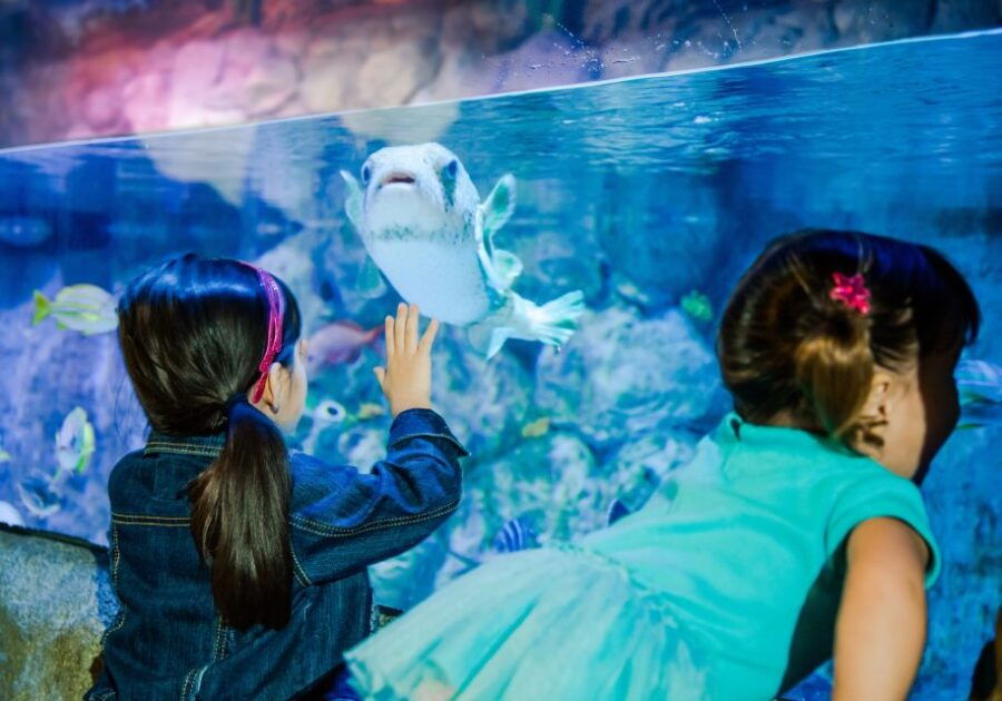 SEA LIFE Aquarium San Antonio - Good To Know
