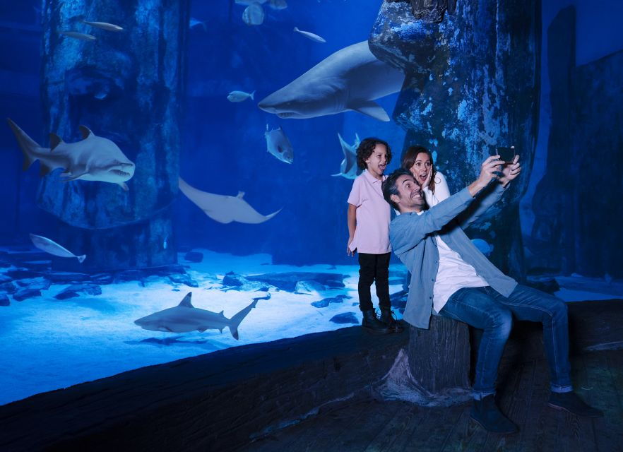 SEA LIFE Charlotte-Concord Aquarium General Admission