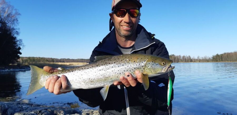 Sea Trout Fishing in the Stockholm Archipelago