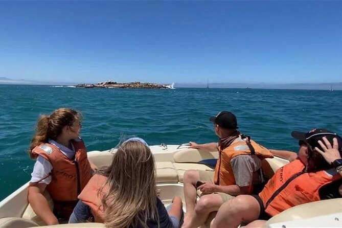 4 Best Tours In Mossel Bay