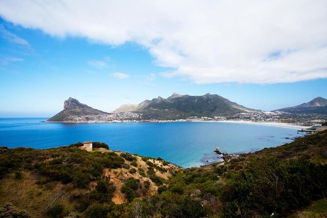 Seal Snorkeling With Animal Ocean in Hout Bay