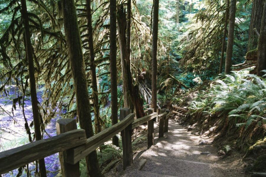 Seattle And Olympic NP Self-Guided Audio Bundle Tour - Good To Know