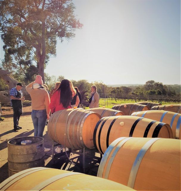 Secret Delights: Wine, Coffee, Artisan and Forest Tour - Good To Know