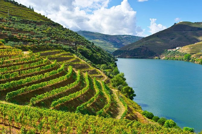 Secrets of Porto and Douro Valley With River Cruise - Good To Know