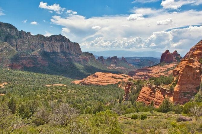Sedona With Vineyard or Montezuma Ruins Tour From Scottsdale