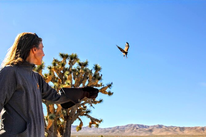 Self Drive Raptor Experience (1 Hour) in Joshua Tree Forest