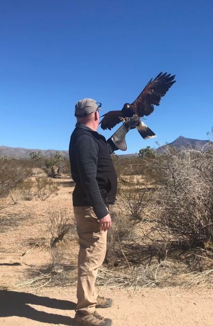 Self Drive Raptor Experience in Joshua Tree Forest - Good To Know