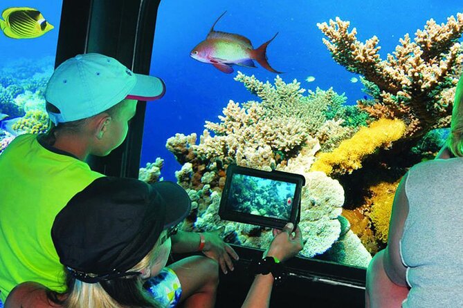 Semi Submarine Trip in Sharm El Sheikh With Transfer - Good To Know