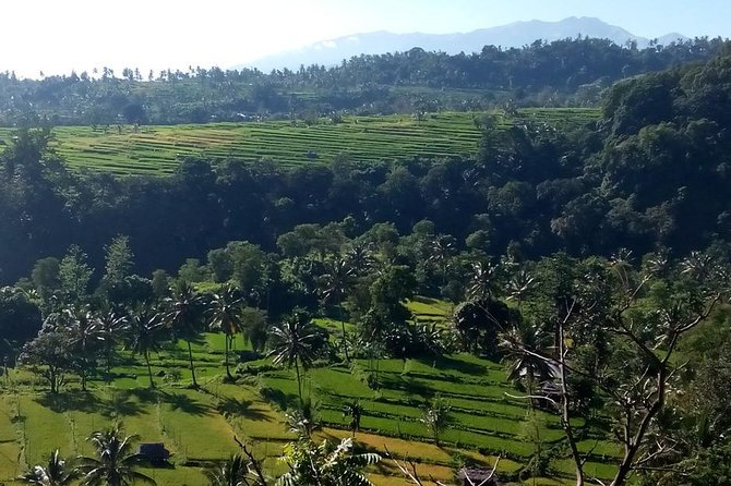 Sendang Gile and Tiu Kelep Waterfall Tour – Private Day Tour