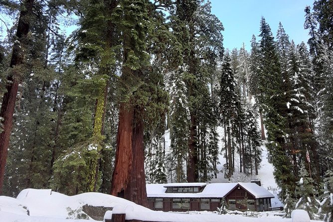 Sequoia National Park Snowshoe Adventure - Overview and Experience