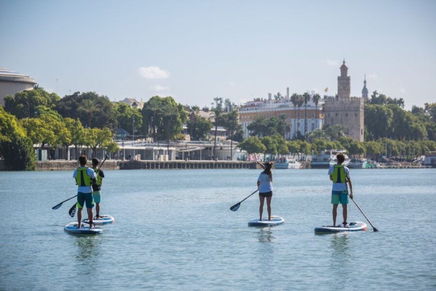 Seville: 1.5-Hour Paddle Surf Tour - Good To Know