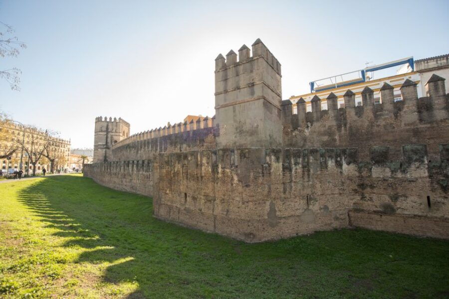 Seville: 3-Hour Guided Walking Tour & Palacio De Las Duenas - Good To Know