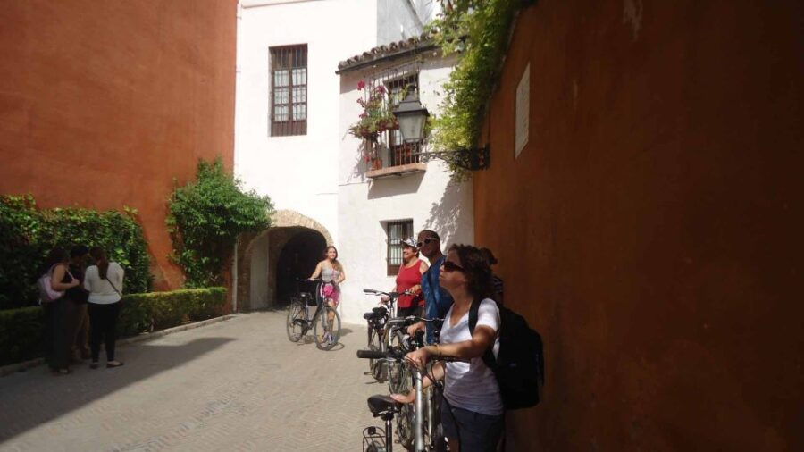 Seville: Daily Bike Tour - Good To Know