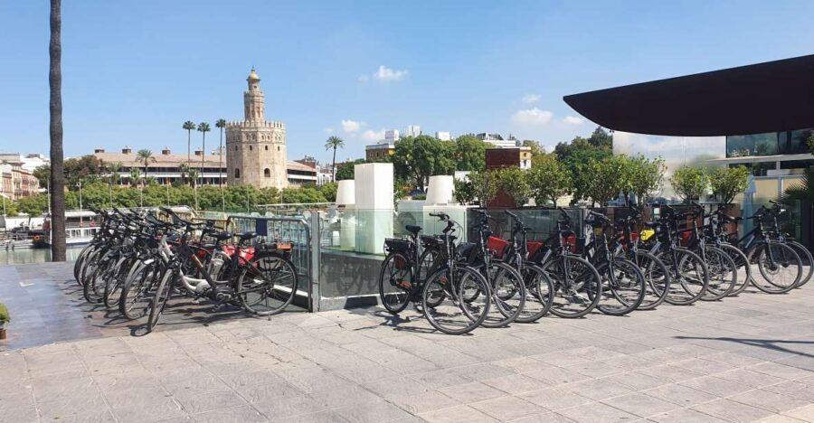 Seville: Guided City Sightseeing E-bike Tour - Good To Know
