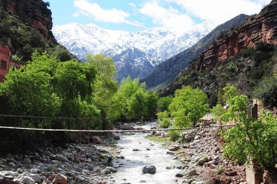 Share Day Trip From Marrakech Atlas Mountains Ourika Valley - Good To Know