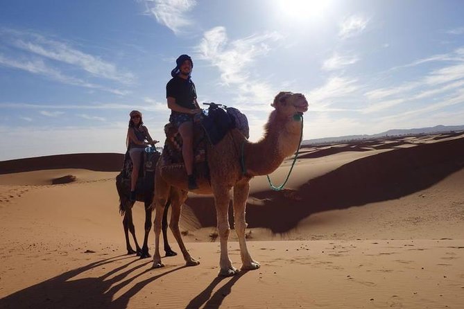 Shared 4 Days Tour From Marrakech To Fes Via Erg Chebbi Desert - Good To Know
