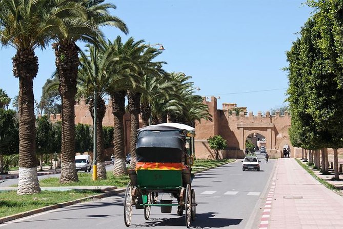 Shared Day Trip Agadir to Marrakech With Guide - Good To Know