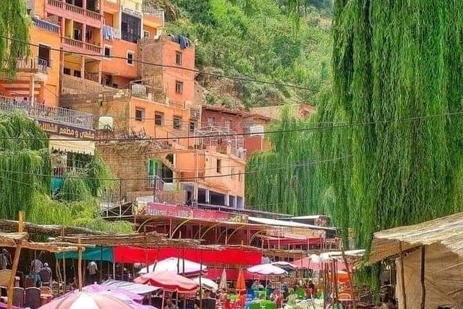 Shared Day Trip to Ourika - Good To Know