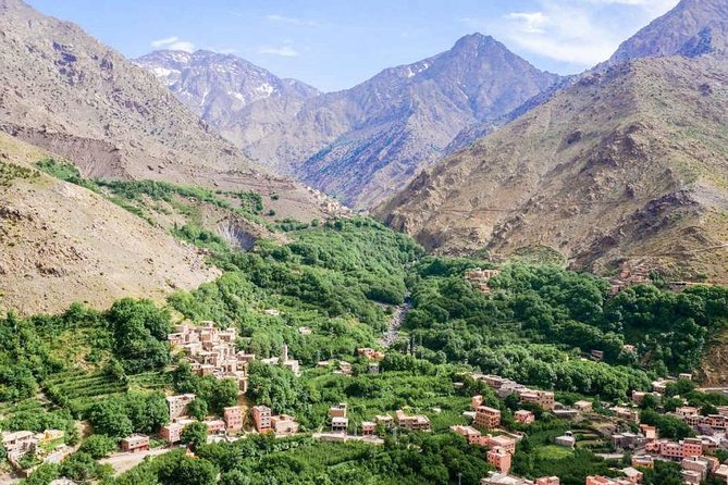 Shared Group Day Trip From Marrakech to Ourika Valley & Atlas Mountains - Tour Highlights