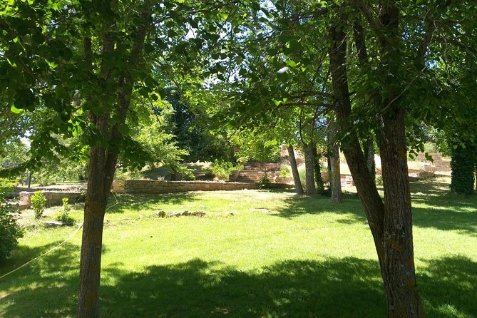 Shared Group Day Trip to Middle Atlas From Fez - Good To Know