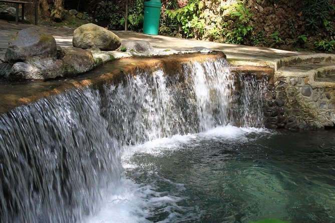 Shared Hidden Valley Tour From Manila
