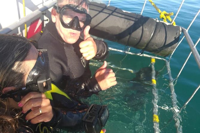 5 Best Scuba Diving Experiences In Gansbaai