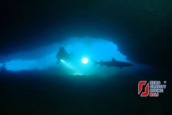Shark Cave Diving at Tangked Taked and Biaha Shark Caves - Logistics and Pickup Information