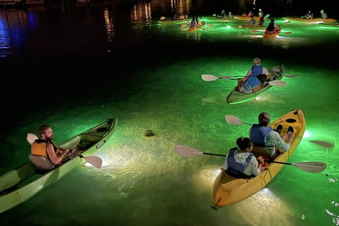 Sharkeys LED Glass Bottom Fish Feeding Night Tour in Clearwater - Good To Know