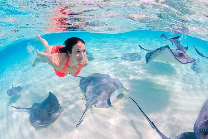Sharks & Stingrays Encounter and Small Boat Ride From Punta Cana - Good To Know